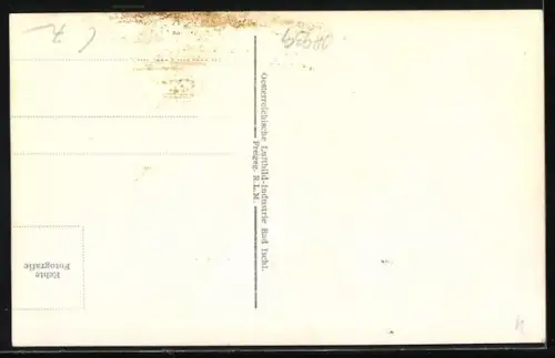 AK Gmunden /Salzkammergut, Panorama mit Schloss und See