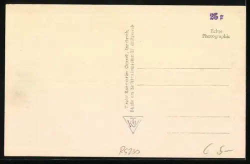 AK Linz a. d. Donau, Totale mit Maria Empfängnis Dom