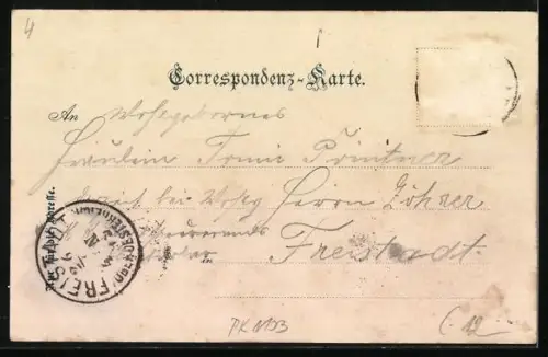 AK Ischl, Panorama von Steizen`s Abendsitz