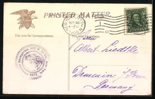 AK New York, NY York, NY, Donkeys in Central Park