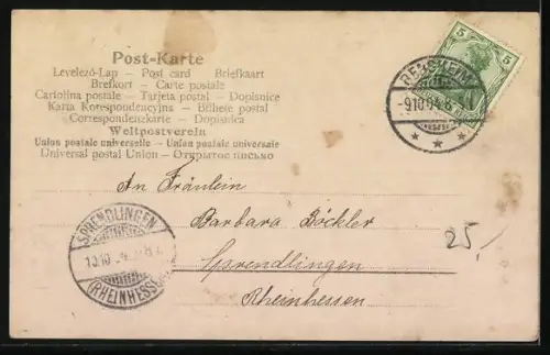 AK Die Jugend beglückwünscht Kronprinzessin Cecilie zur Verlobung