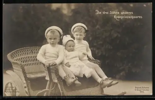 AK Die drei Söhne unseres Kronprinzen Wilhelm von Preussen