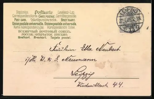 AK Kornblumen und Ähren