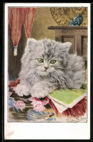 Künstler-AK Kleine Katze mit grauem Fell