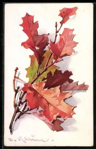 Künstler-AK Catharina Klein: herbstlich rot gefärbte Blätter