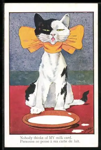 AK Katze beklagt sich über fehlende Milchkarte