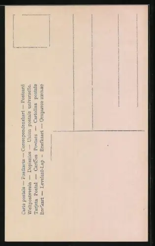 AK Prinzessin Victoria Louise von Preussen