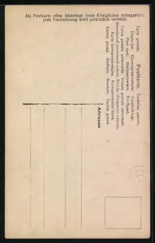 AK Portrait von Herzogin Sophie Charlotte v. Oldenburg, Braut von Prinz Eitel Friedrich von Preussen