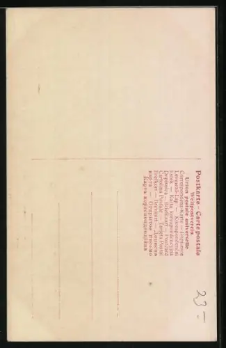 AK Prinz Joachim u. Prinzessin Victoria Louise von Preussen