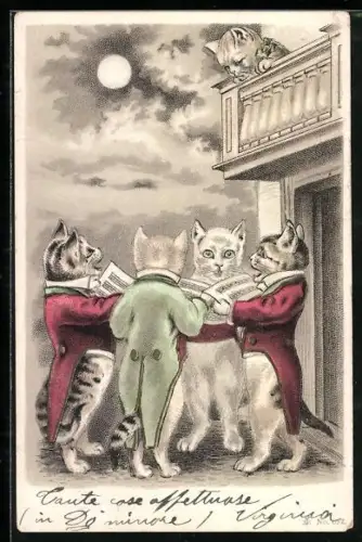 Künstler-AK Katzen singen unter einem Balkon, vermenschlichte Tiere