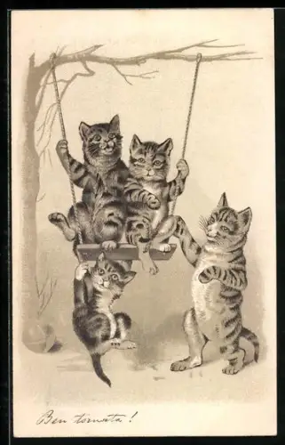 AK Katzen an und auf Schaukel