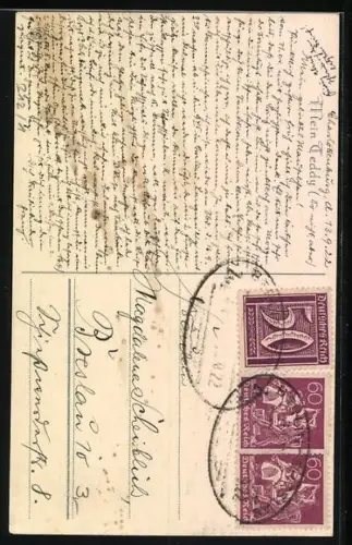 Künstler-AK Mein Teddy, Kleinkind mit Stofftier und Kätzchen