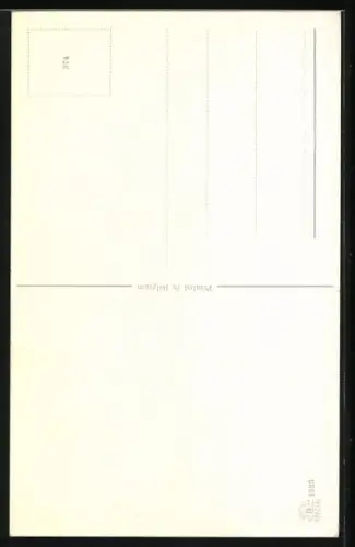 AK Langhaar-Katze mit hellem Fell