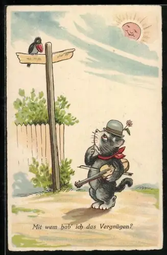 AK Ein ratloser Katzenmusikant, vermenschlichte Tiere