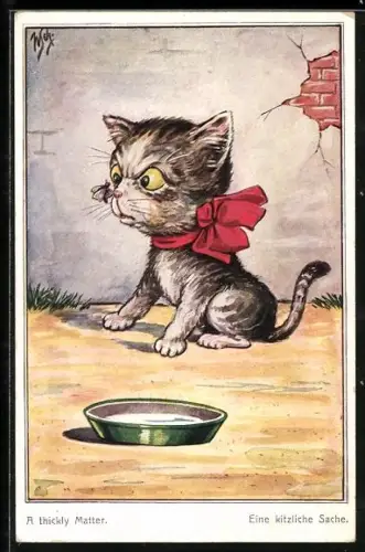 Künstler-AK M.Müller jun.: Eine Fliege kitzelt eine Katze an der Nase