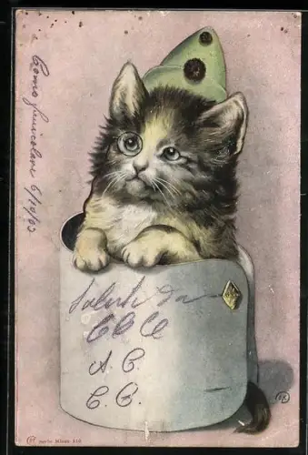 AK Katze mit Monokel und Clownshut in Manschette
