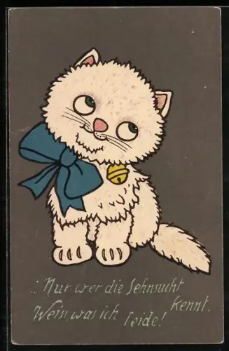 AK Weisser Kater schaut nach oben