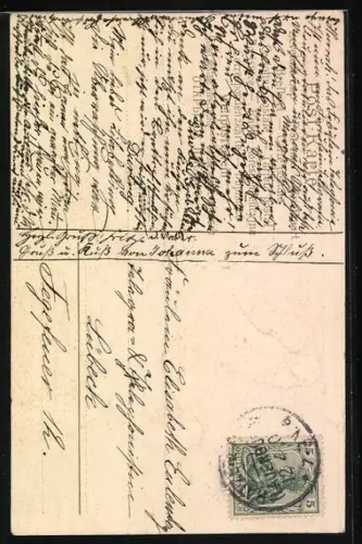 AK Katze blickt auf eine Wespe