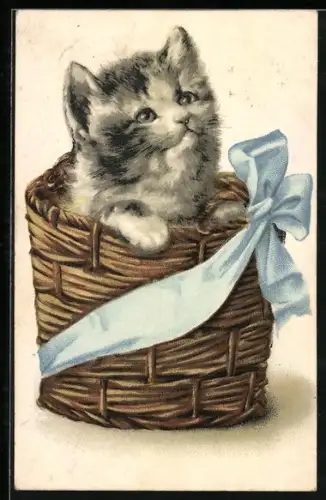 AK Süsse Katze in einem Weidenkorb mit Schleife