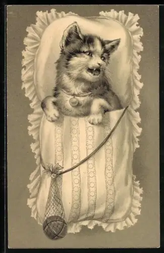 AK Maunzendes Kätzchen im Schlafsack mit Ball