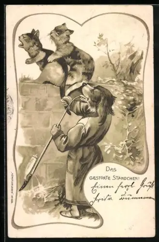 AK Hund zieht Katze auf einer Mauer am Schwanz, vermenschlichte Tiere