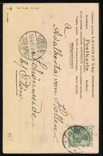 AK Katze angelt nach einem Hirschkäfer