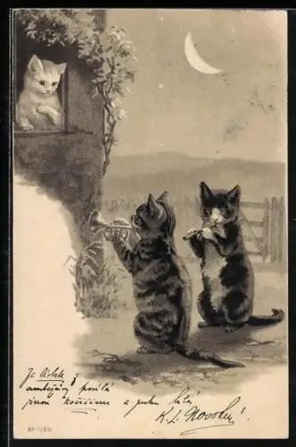 Lithographie vermenschlichte Katzen spielen Flöte u. Trompete vor dem Fenster einer Katzendame
