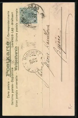 Lithographie vermenschlichte Katzen spielen Flöte u. Trompete vor dem Fenster einer Katzendame