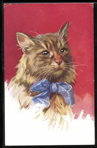 AK Katze mit blauer Schleife