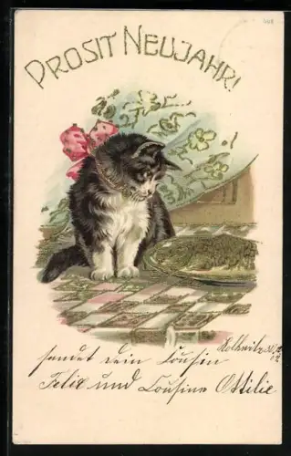 AK Katze sitzt vor einem Fisch