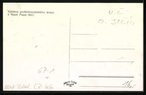 AK Nova Paka, Vystava podkrkonosskeho kraje 1947