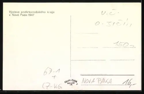 AK Nova Paka, Výstava podkrkonosského kraje 1947