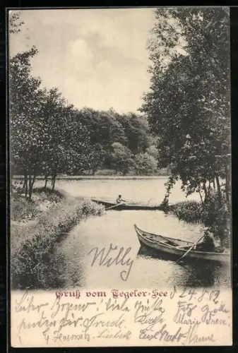 AK Berlin-Tegel, Tegeler See, Ruderboote, Uferlandschaft