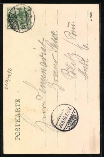 AK Berlin-Tegel, Tegeler See, Ruderboote, Uferlandschaft