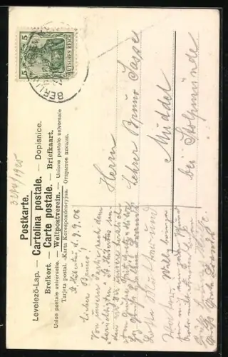 AK Berlin-Tegel, Waldpartie am Tegeler See