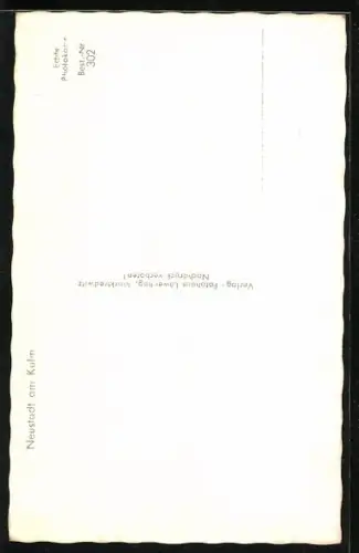 AK Neustadt am Kulm, Strassenpartie mit Aussichtsturm