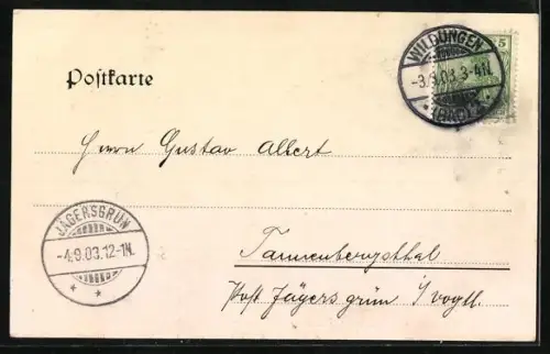 AK Bad Wildungen, Blick von der Stadt aus