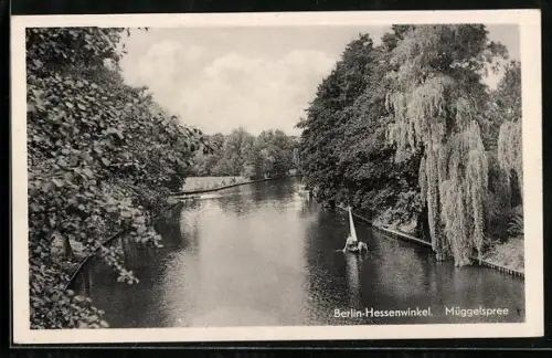 AK Berlin-Hessenwinkel, Müggelspree