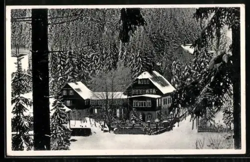 AK Kipsdorf i. Erzgeb., Hoffmanns Kinderheim, Haus Clara Maria, Winteransicht