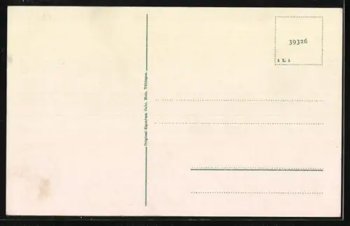 AK Obertsrot i. Murgtal, Blick ins Murgtal vom Schloss Eberstein