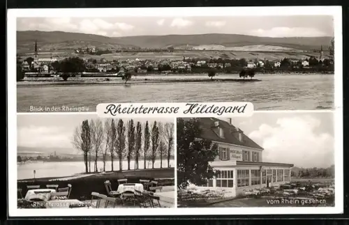 AK Heidesheim / Rhein, Gasthaus Rheinterrasse Hildegard, Blick in den Rheingau, vom Rhein gesehen