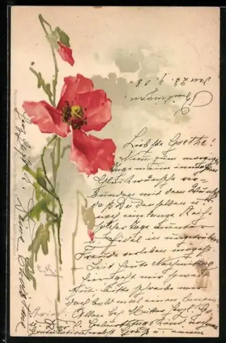 Künstler-AK Catharina Klein: Mohnblume in Blüte