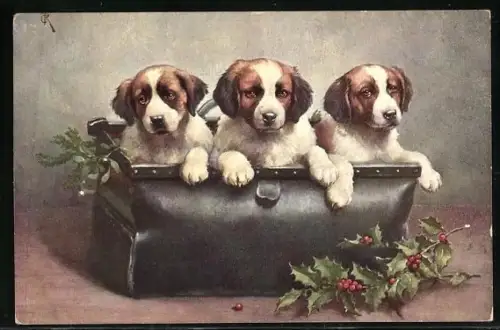 Künstler-AK Carl Reichert: Drei Hunde gucken aus einer Ledertasche, daneben liegt ein Stechpalmenzweig