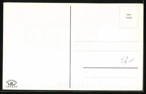 Künstler-AK Willi Scheuermann: Kleiner Schornsteinfeger mit Klee und Hufeisen zieht Schlitten mit Schweinchen