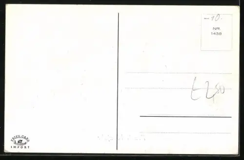 Künstler-AK Willi Scheuermann: Kleiner Schornsteinfeger reitet auf einem Schwein mit Klee im Mund