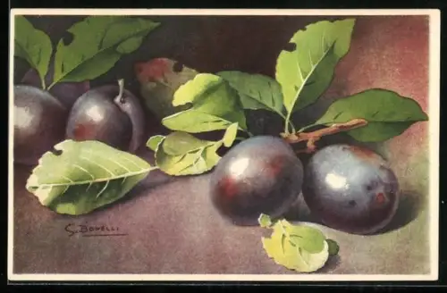 Künstler-AK S. Bonelli: Stillleben mit reifen Pflaumen
