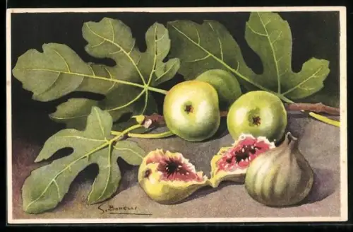 Künstler-AK S. Bonelli: Stillleben mit Feigen