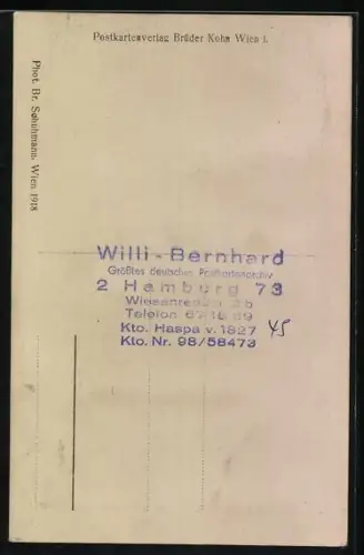 AK Die Kinder des Kaiserpaares von Österreich auf ihrem Spielplatz