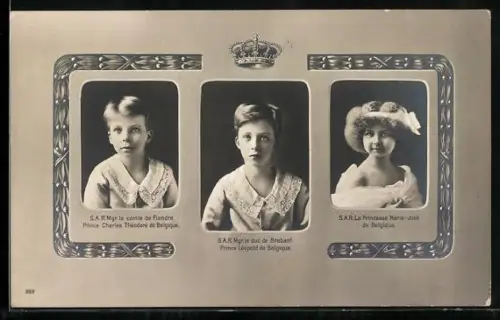 AK S. A. R. Mgr. le comte de Flandre Prince Charles Théodore de Belgique