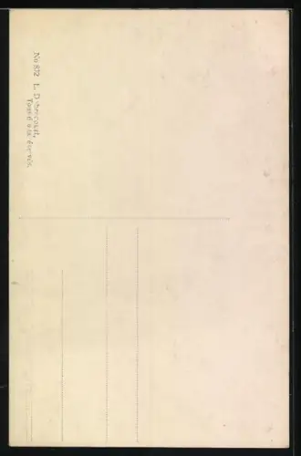 AK Portrait S. M. la Reine des Belges